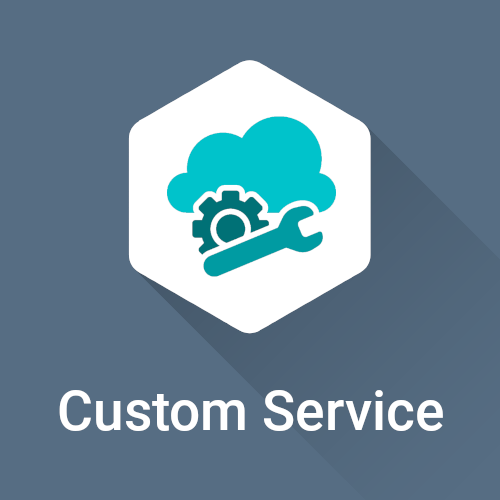 Custom Service